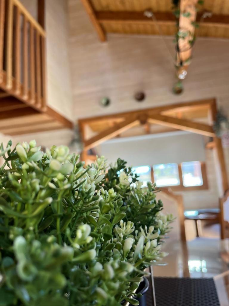 Luxury Rural Cuenca Villas Rum bild